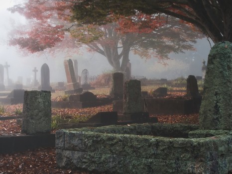 Cemetery on a foggy morning