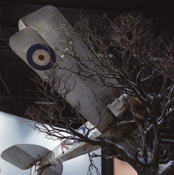 Aircraft crashed into tree