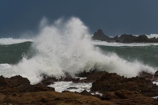 Waves, South Coast, Wellington