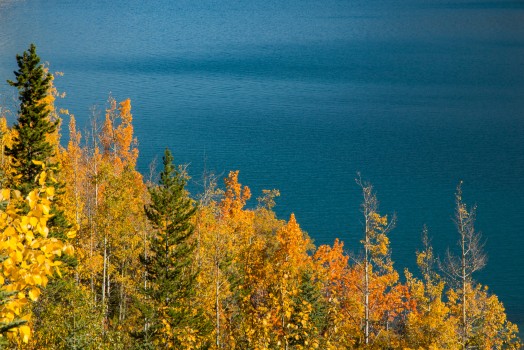 Autumn trees against blue lake