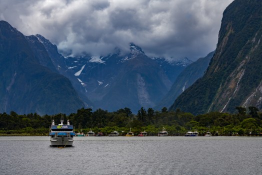 Boats in Milford Sound