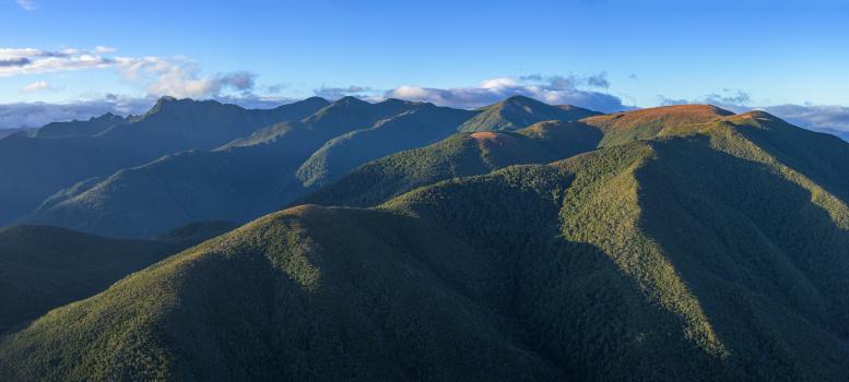 Gouland Range from Mt Perry