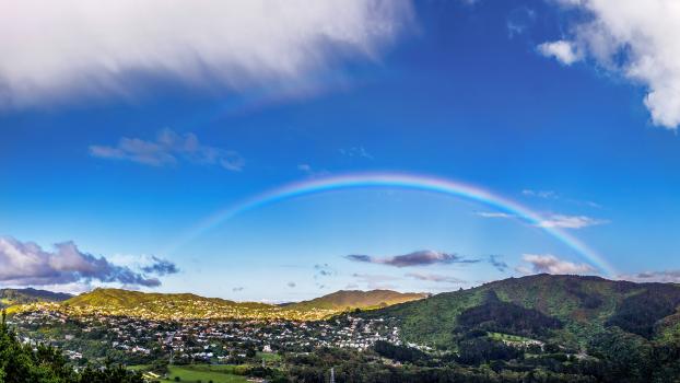 Wellington rainbow 