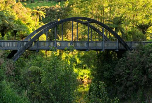 Road bridge in the Taranaki native bush