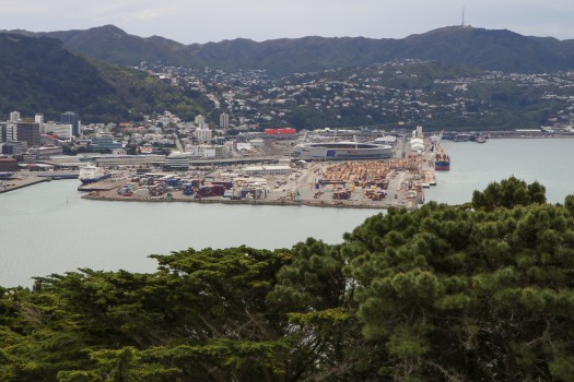 Wellington's dockyard and Sky stadium