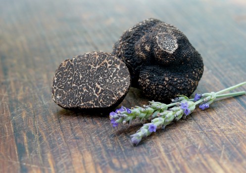 Truffles on a wooden background