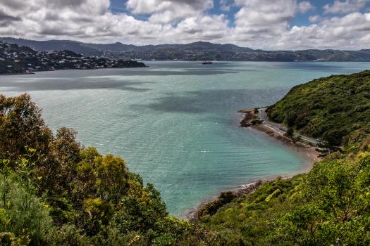 Maupuia, Wellington 