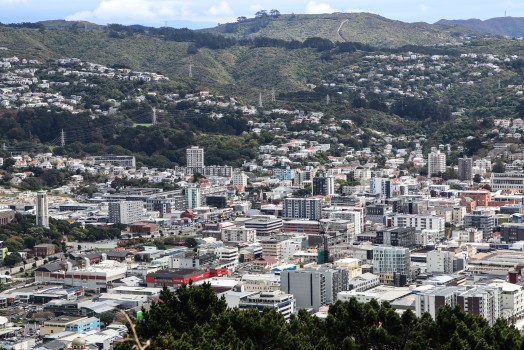 Wellington city and greenery view