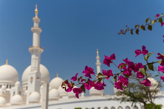 Flowers and Mosque