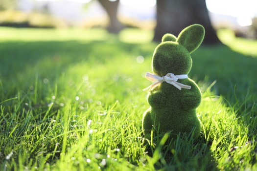 Green Easter bunny toy in grassland bokeh