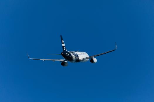 Black and white mechanical bird in the blue sky