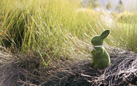 Green Easter bunny toy in long grass outdoor