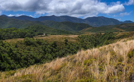 Gouland Downs Hut, Heaphy Track
