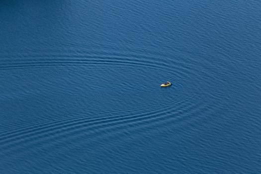 Wakatipu lake jet boat