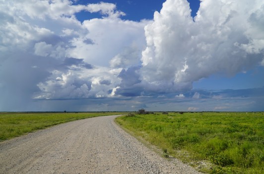 Long road in an african savannah landscape