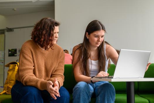 Young women working together on laptop