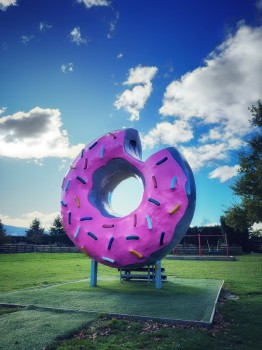 Giant Doughnut From Heaven