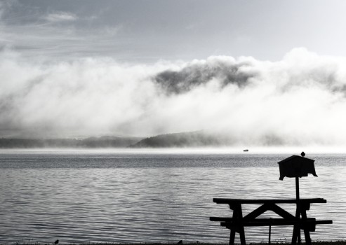 Seat on edge of lake Rotorua