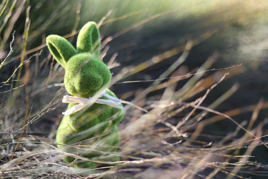Green Easter bunny toy in weeds close-up