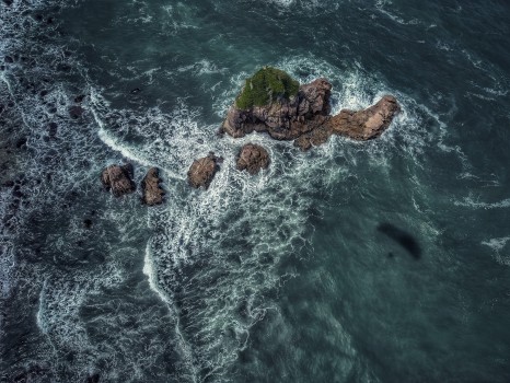 Magical flight at Cape Foulwind