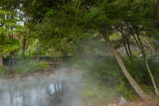 Steaming Kuirau Park