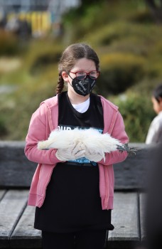 Teenage girl carrying a chicken, NARD 2022