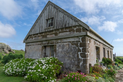 Historic Stone Cottage and flora at Maunganui