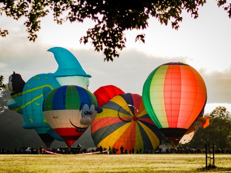 Hot Air Balloon Festival