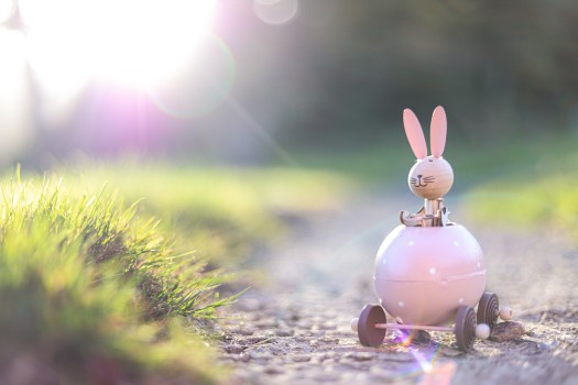 Pink Easter bunny figure in golden hour