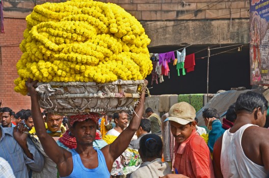 Mallick Ghat flower market, Kolkata