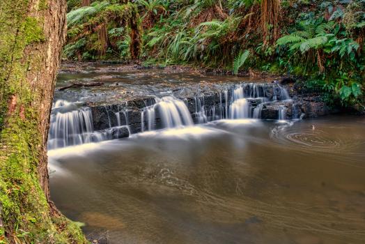 Tin waterfall in the Catlins