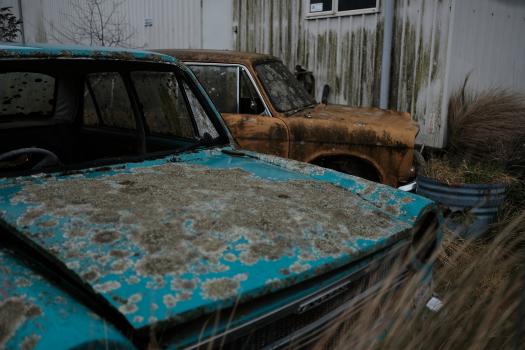 Old blue and orange abandoned mouldy Austin cars in Christchurch