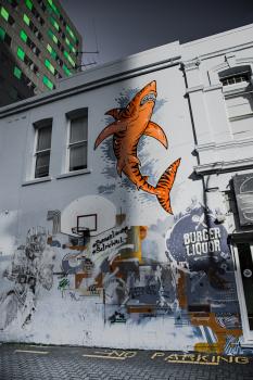 Tigershark graffiti and no parking