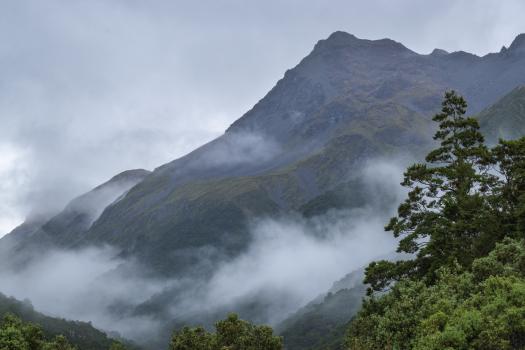 Mist and ridges, Otago 