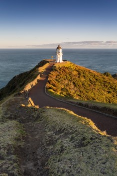 Dawn light, Cape Reinga lighthouse walk