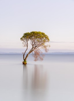 Lake Taupo 