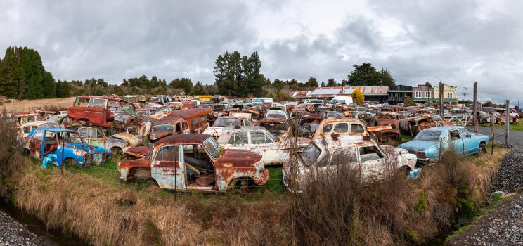 Abandoned cars, Horopito
