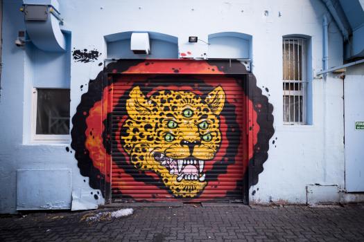 Five-eyed tiger graffiti on a shutter door