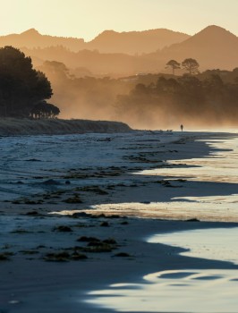 Matarangi Beach New Zealand Sunset