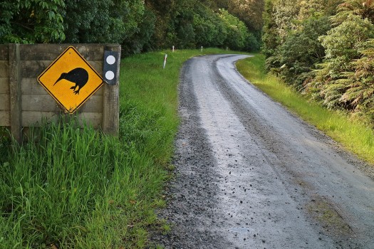 Kiwi Sign