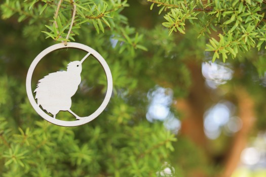 Kiwi in a ring cutout dangling from a tree