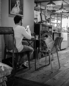 Guy and his small dog at the table at a cafe