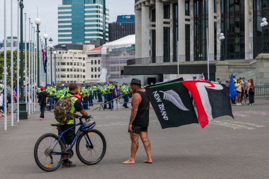 Protest bicycle and flag bearer