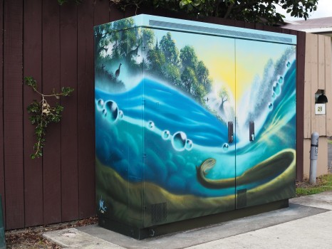 Palmerston North Painted Electricity Box
