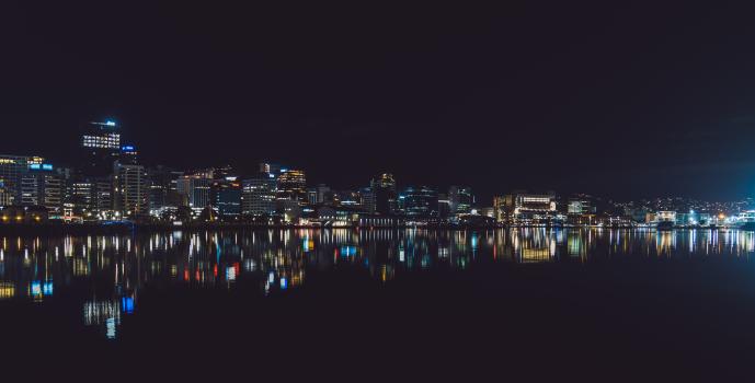 Wellington's night reflections