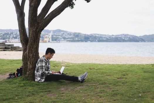 Boy studying on computer in a park
