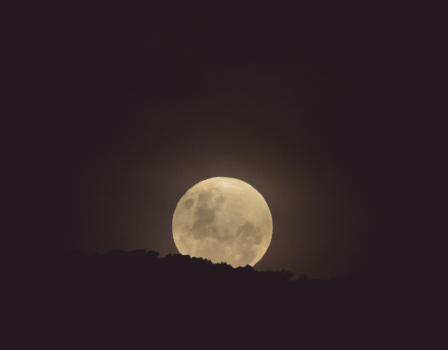 Full moon rising over treeline
