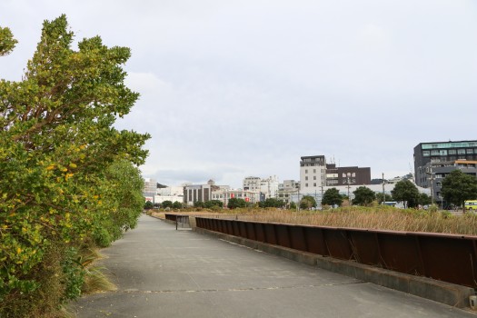 Paved walkway through vegetation in the city