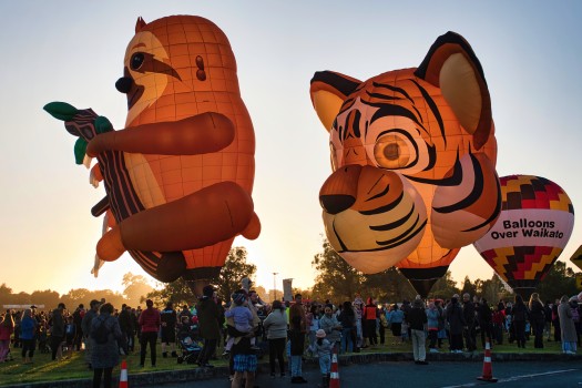 Balloons Over Waikato 2023