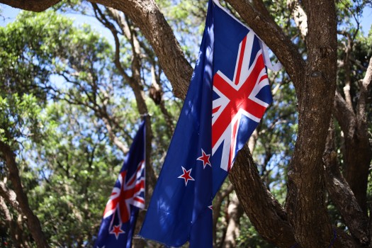 NZ flags on tree branches - Convoy 2022